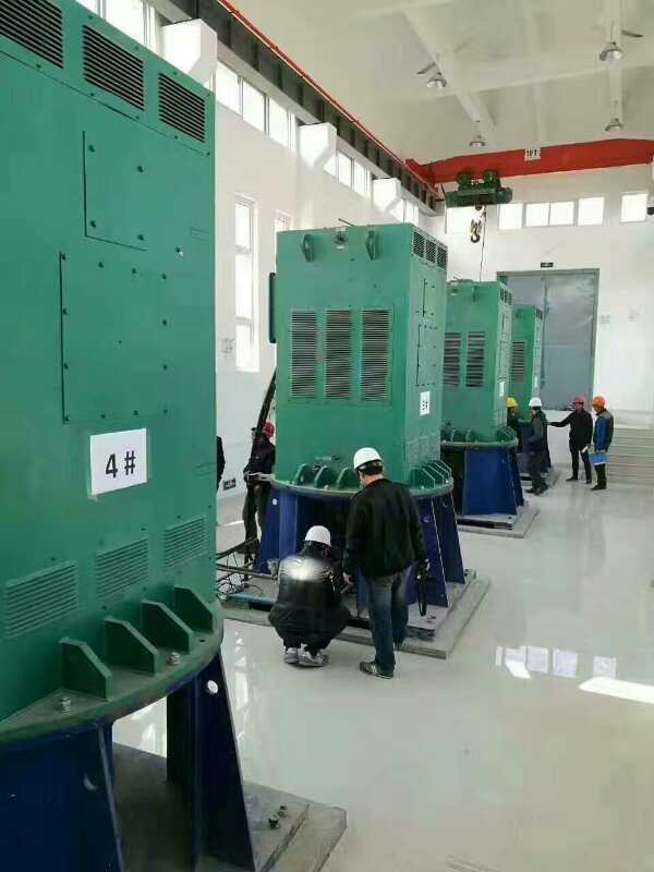 桐庐某污水处理厂使用我厂的立式高压电机安装现场
