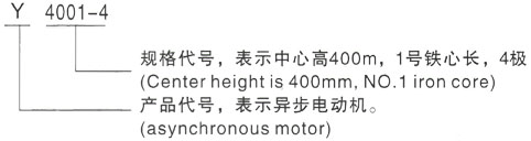 西安泰富西玛Y系列(H355-1000)高压桐庐三相异步电机型号说明